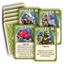 Rolling in Wonderland ALL-In! Deluxe Edition by Bellows Intent - SEALED
