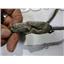 2003 2004 DODGE 1500 LARAMIE 5.7 HEMI AUTO 4X4 QUAD CAB HEADLINER WIRE HARNESS
