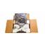 Primal the Awaking "Everything Primal" Kickstarter Pledge - SEALED