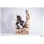 Assassin's Creed: Animus Ezio by Pure Arts