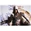 Assassin's Creed: Animus Ezio by Pure Arts