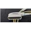 Mindray L14-6s Transducer Probe