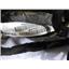 2010 2011 FORD F150 HARLEY DAVIDSON 5.4 AUTO 4X4 HEAD LINER WIRE HARNESS OEM
