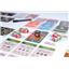 Honeypot + Forage Kickstarter Editions by Flatout Games - SEALED