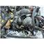 2010 2011 FORD F150 HARLEY DAVIDSON 5.4 AUTO 4X4 ENGINE BAY HARNESS AL3T12A581KH