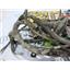 2003 2004 DODGE 3500 SLT 5.9 DIESEL AUTO 4X ENGINE BAY WIRING HARNESS 56051898AB