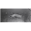 F.W Bell CG-107D Clamp