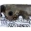 2010 2011 FORD F150 HARLEY DAVIDSON 5.4 ENGINE RIGHT SIDE VALVE COVER 55286583NA