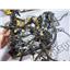 2010 2011 FORD F150 HARLEY DAVIDSON 5.4 ENGINE WIRE HARNESS AL3T12C508BG OEM