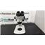 Olympus SZ61 Stereo Microscope with SZ2-ST Stand - No Eyepieces