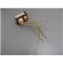 Advance Autotransformer/Ballast 71A5292 70W For M98 Or M101 Metal Halide Lamp