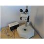 GSZ Ausjena Zeiss Microscope With Light Source And Stand