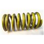 GM ACDelco Original 8224391 1-2 Rear Accumulator Spring General Motors New