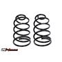 UMI Performance 64-66 Chevelle Factory Height Springs, Rear