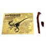 Dromaeosaur Dinosaur Tooth Fossil  100 MYO w/color card Lot of 2 E237