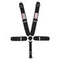 RideTech Ridetech 5-Point Harness 49999999