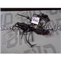 1998 HONDA VALKYRIE GL1500 INTERSTATE ENGINE FRAME WIRING HARNESS 3200MZ0A0107