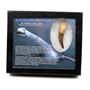Elasmosaur Dinosaur Tooth 2.145 inches MDB w/COA 80 MYO #17336 13o