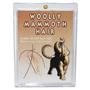 Woolly Mammoth Genuine Hair w/ COA for Fossil Collectors