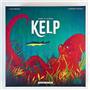 Wonderbow Kelp: Shark vs Octopus DELUXE Edition - SEALED