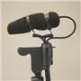 DPA 4099-DC-1-199-G Microphone w/ Clip for Acoustic Guitar #56079