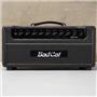 Bad Cat Hot Cat Tube Guitar Amplifier Head Owned by Justin Meldal-Johnsen #56167
