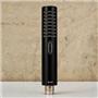 Royer R-101 Passive Ribbon Microphone w/ Case & Shockmount #56332