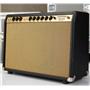 Sebago Sound Overdrive Deluxe 25W Dumble Style Tube Guitar Combo Amp #55798