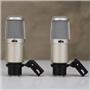 Heil Sound PR-30 Super Cardioid Dynamic Microphones #57412