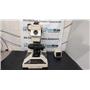 Nikon Microphot-FXA Upright Research Microscope (As-Is)