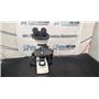 Labomed CXL Laboratory Microscope - Damaged Stage w/ 3 Objectives