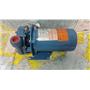 Boaters' Resale Shop of TX 2603 0801.01 GOULDS 1BF40312 PUMP w 115/230V MOTOR