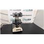 Olympus Microscope BH-2 with Binocular Head & 10x, 60x, 100x Objectives