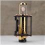Manley Reference Gold Large Diaphragm Tube Condenser Microphone w/ Case #59151