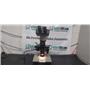 Accu-Scope 3000 Microscope Series 4 Objectives