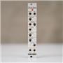 Antimatter Brain Seed Eurorack Module #58470