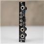 Strymon AA.1 Eurorack Module w/ Braided Patch Cables #58925