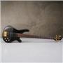 Fernandes APB-100 5 String Active Bass Transparent Black Finish MIJ #59353