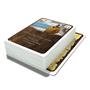 Fleet: Arctic Bounty 54 Cards Expansion Pack (Cards Only) by Eagle Gryphon