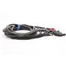 2 Mogami 2933 TT-XLRM-XLRF XLR Male Female 12-Ch Patch Bay Snake Cables #48834