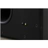Dynaudio Acoustics BX30 12" Active Powered Subwoofer w/ XLR Cable #49030