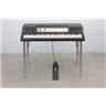 Wurlitzer 200 Electric Piano w/ Foot Pedal Owned by Dennis Herring #49227