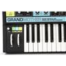 Moog Grandmother 32-Key Semi-Modular Analog Synthesizer HOLD FOR PAUL #49529