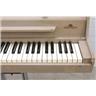 Wurlitzer 140B 64-Key Electronic Piano Mark Everett Eels #49551