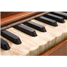 Harmonium 39-Key Wooden Pump Organ Keyboard #49722