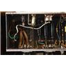 1956 Fender Champ Amp 5F1 Narrow Panel 1x8" 5W Tube Amplifier NEEDS SPEAKER RECONE #50034