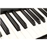 Korg Wavestation EX 61-Key Synthesizer Workstation New Screen #50501