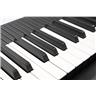 Expressive E Osmose 49-Key Polyphonic Synthesizer MIDI Controller #52749