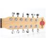 Jerry Jones Neptune 12-String Electric Guitar #49804