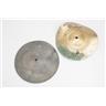 Turkish Bee & Wuhan Blank 10"/25cm Splash Cymbals w/ PDP Stand #54027